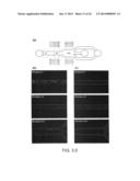 TWO-STAGE MICROFLUIDIC DEVICE FOR ACOUSTIC PARTICLE MANIPULATION AND     METHODS OF SEPARATION diagram and image