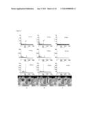 NANOPHOTONIC PRODUCTION, MODULATION AND SWITCHING OF IONS BY SILICON     MICROCOLUMN ARRAYS diagram and image