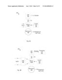 Dual-Port Measurements of Light Reflected from Micromirror Array diagram and image