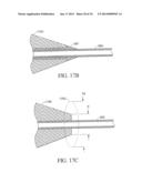 Axial Illumination for Capillary Electrophoresis diagram and image