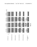 HYBRID SILICON LASER-QUANTUM WELL INTERMIXING WAFER BONDED INTEGRATION     PLATFORM FOR ADVANCED PHOTONIC CIRCUITS WITH ELECTROABSORPTION MODULATORS diagram and image