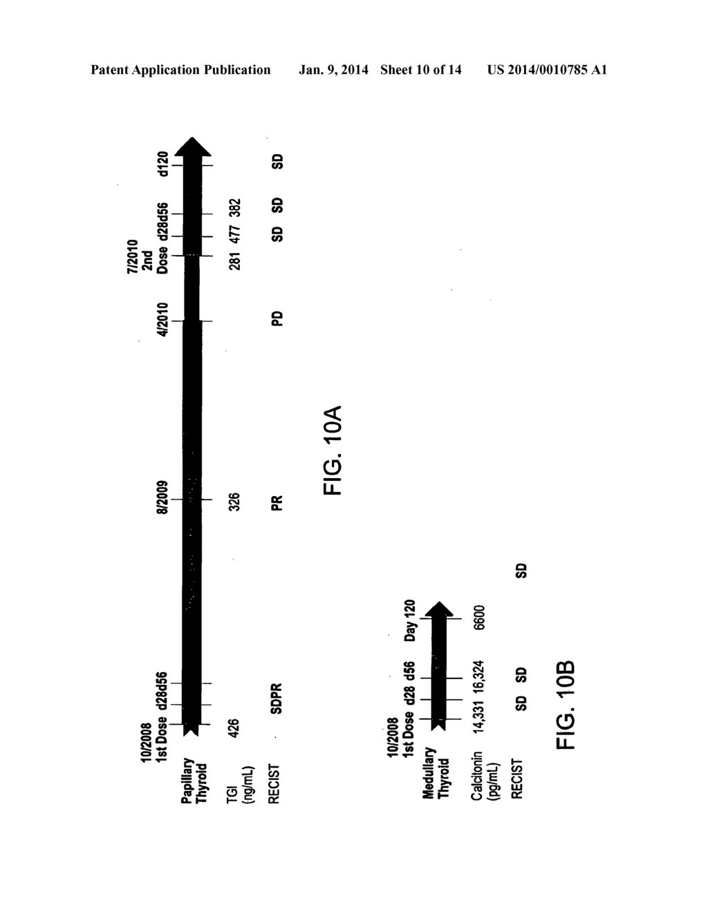 Methods for Use of a Specific Anti-Angiogenic Adenoviral Agent - diagram, schematic, and image 11