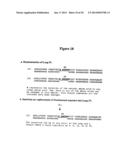 ALBUMIN FUSION PROTEINS diagram and image