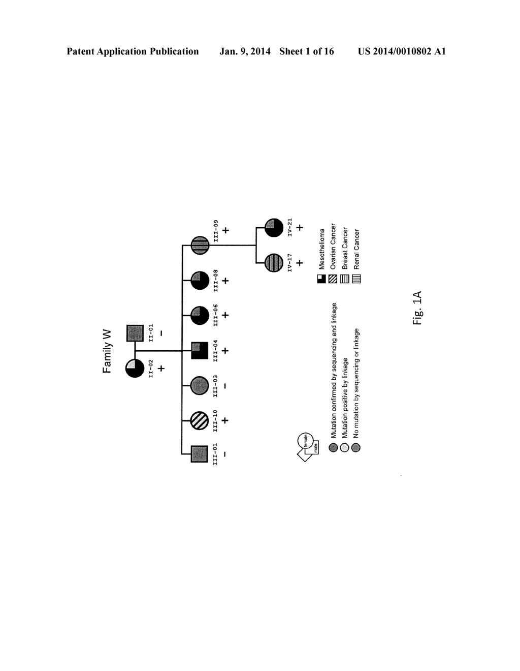 SYSTEMS AND METHODS FOR DIAGNOSING A PREDISPOSITION TO DEVELOP CANCER - diagram, schematic, and image 02