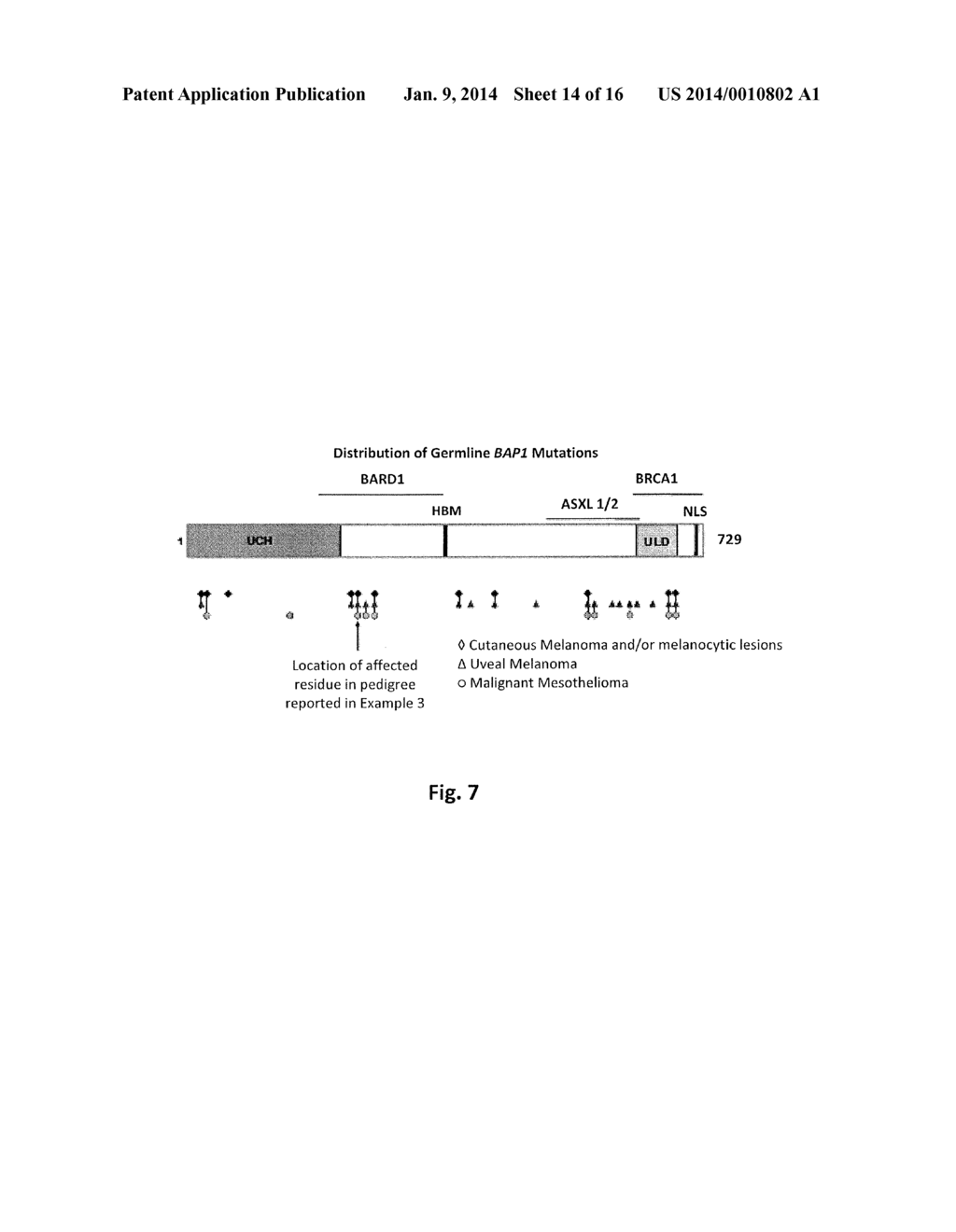 SYSTEMS AND METHODS FOR DIAGNOSING A PREDISPOSITION TO DEVELOP CANCER - diagram, schematic, and image 15