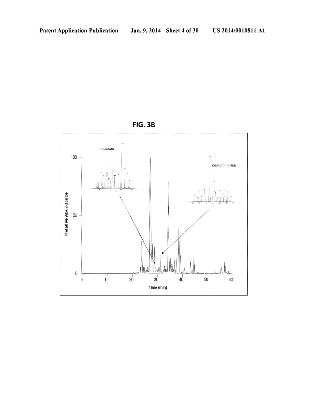 ANTIBODIES TO ENDOPLASMIN AND THEIR USE - diagram, schematic, and image 05