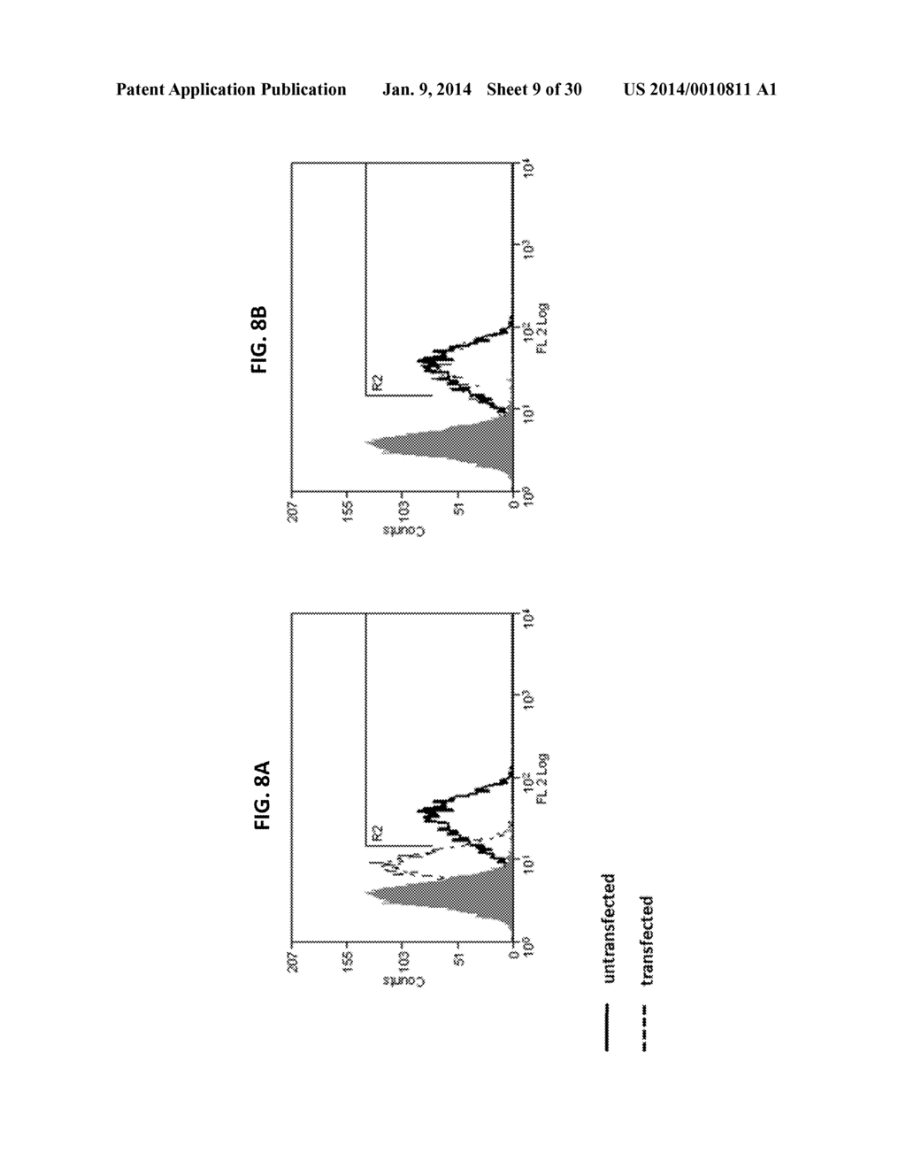 ANTIBODIES TO ENDOPLASMIN AND THEIR USE - diagram, schematic, and image 10