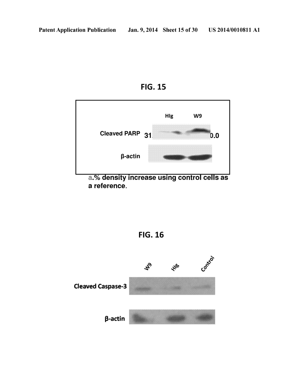 ANTIBODIES TO ENDOPLASMIN AND THEIR USE - diagram, schematic, and image 16