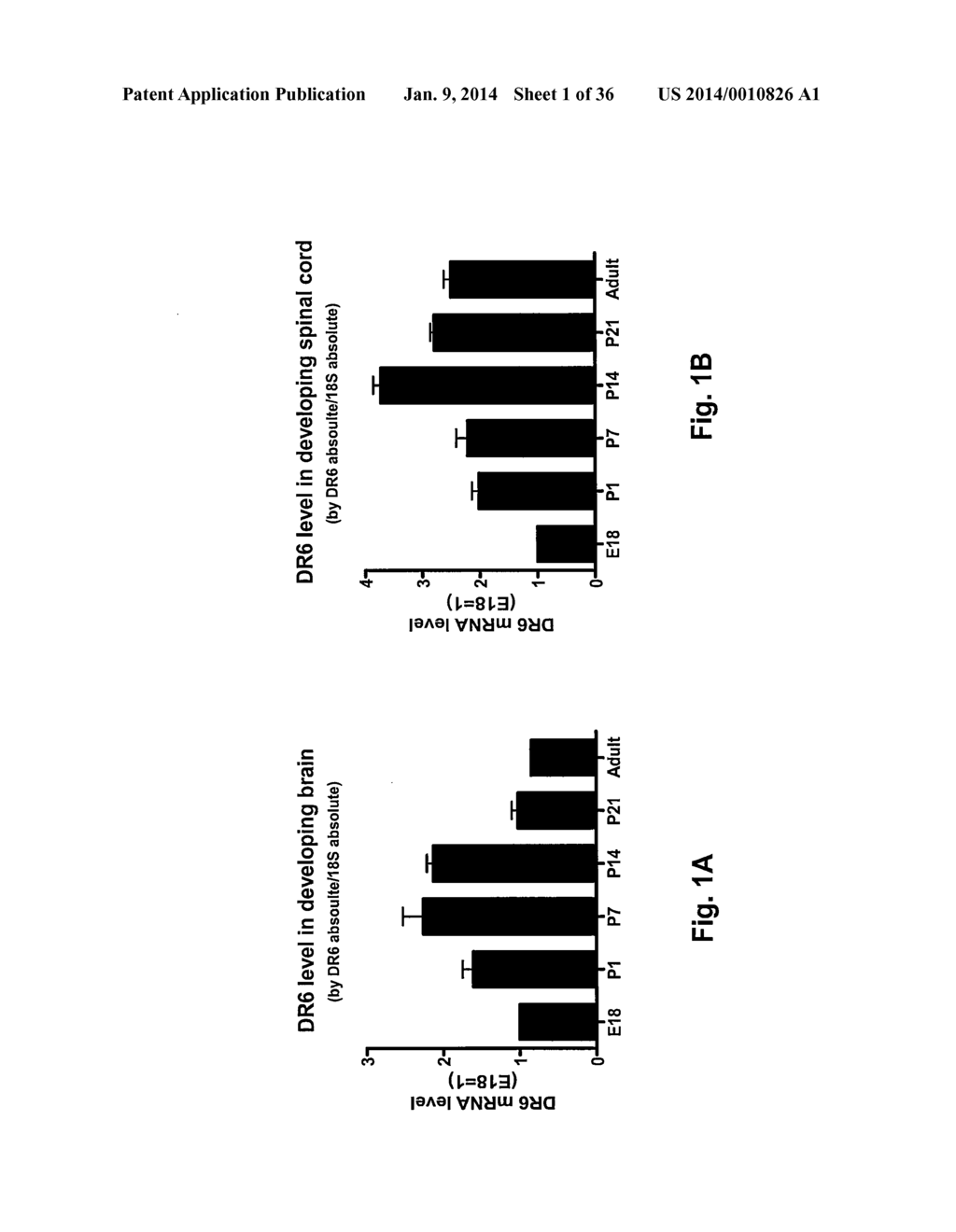 Use of DR6 and p75 Antagonists to Promote Survival of Cells of the Nervous     System - diagram, schematic, and image 02