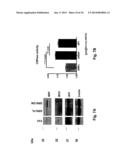 Use of DR6 and p75 Antagonists to Promote Survival of Cells of the Nervous     System diagram and image