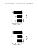 Use of DR6 and p75 Antagonists to Promote Survival of Cells of the Nervous     System diagram and image