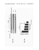 Use of DR6 and p75 Antagonists to Promote Survival of Cells of the Nervous     System diagram and image