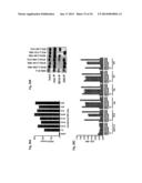 Use of DR6 and p75 Antagonists to Promote Survival of Cells of the Nervous     System diagram and image