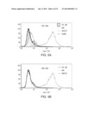 HER-2 PEPTIDES diagram and image