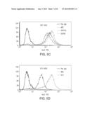 HER-2 PEPTIDES diagram and image