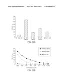 HER-2 PEPTIDES diagram and image