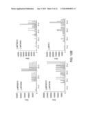 HER-2 PEPTIDES diagram and image