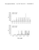 HER-2 PEPTIDES diagram and image