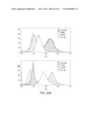 HER-2 PEPTIDES diagram and image