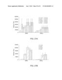 HER-2 PEPTIDES diagram and image