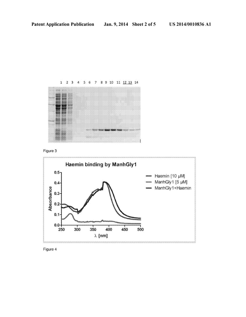 ANTIGENIC GLY1 POLYPEPTIDES - diagram, schematic, and image 03