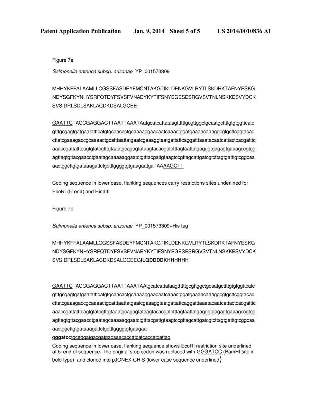 ANTIGENIC GLY1 POLYPEPTIDES - diagram, schematic, and image 06