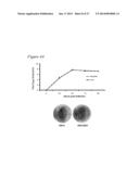 RECOMBINANT MUMPS VIRUS VACCINE diagram and image