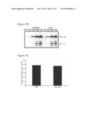 RECOMBINANT MUMPS VIRUS VACCINE diagram and image