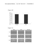 RECOMBINANT MUMPS VIRUS VACCINE diagram and image