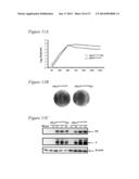 RECOMBINANT MUMPS VIRUS VACCINE diagram and image