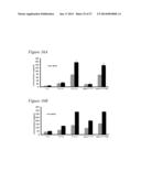 RECOMBINANT MUMPS VIRUS VACCINE diagram and image