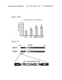 RECOMBINANT MUMPS VIRUS VACCINE diagram and image