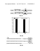 Attenuated Recombinant Alphaviruses Incapable of Replicating in Mosquitoes     and Uses Thereof diagram and image