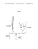 FERMENTATION PROCESSES FOR CULTIVATING STREPTOCOCCI AND PURIFICATION     PROCESSES FOR OBTAINING CPS THEREFROM diagram and image