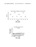 Positive Controls diagram and image