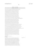 Genetically Modified Microorganisms Capable of Producing Beta-Glucans and     Methods for Producing Beta-Glucans diagram and image