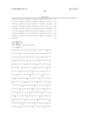 Genetically Modified Microorganisms Capable of Producing Beta-Glucans and     Methods for Producing Beta-Glucans diagram and image