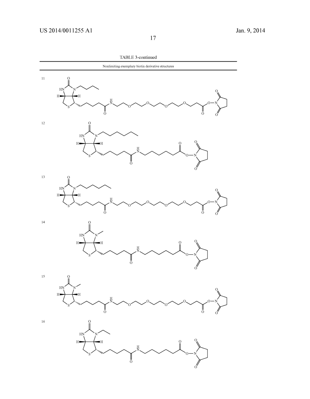 Biotin Derivatives - diagram, schematic, and image 26