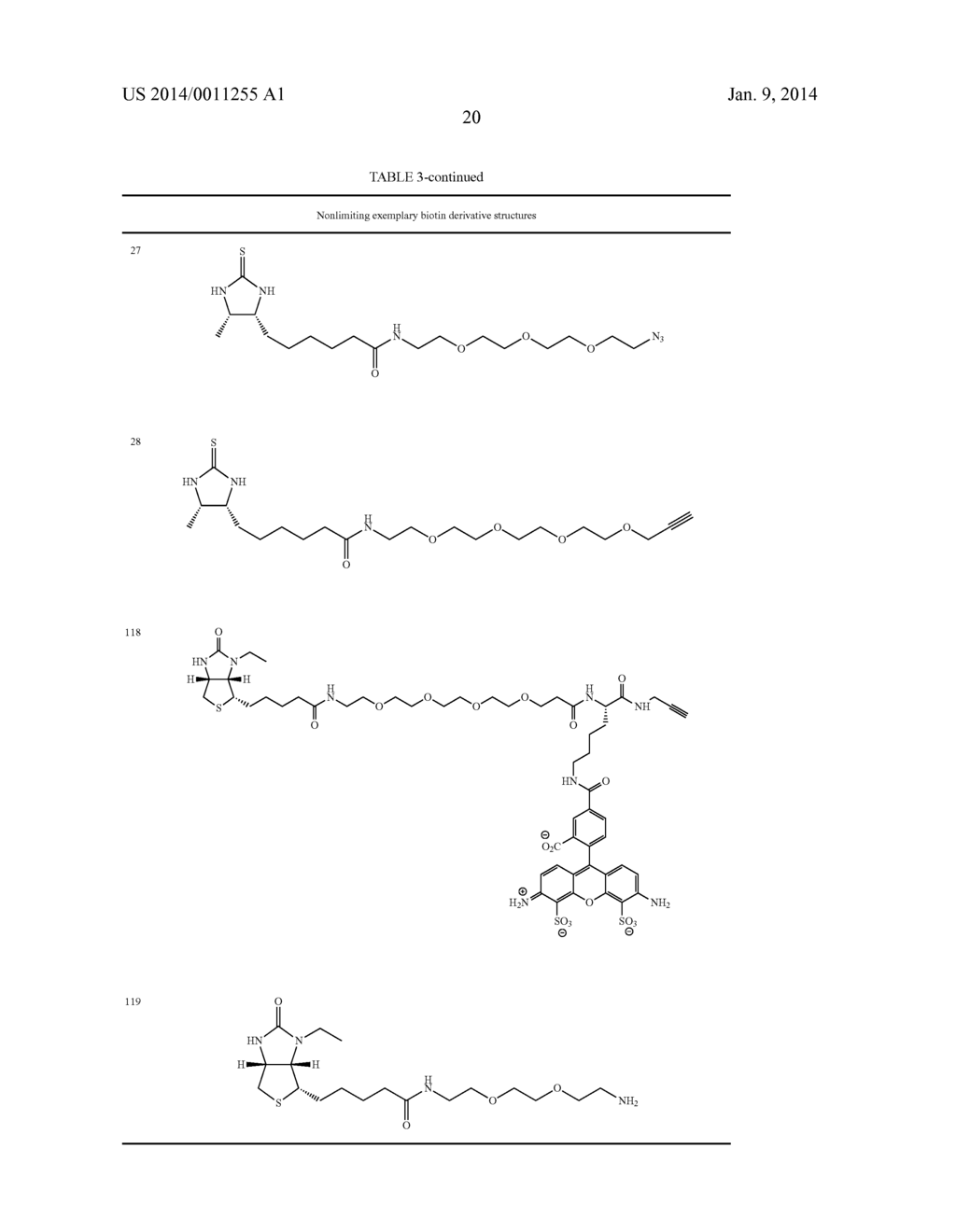 Biotin Derivatives - diagram, schematic, and image 29