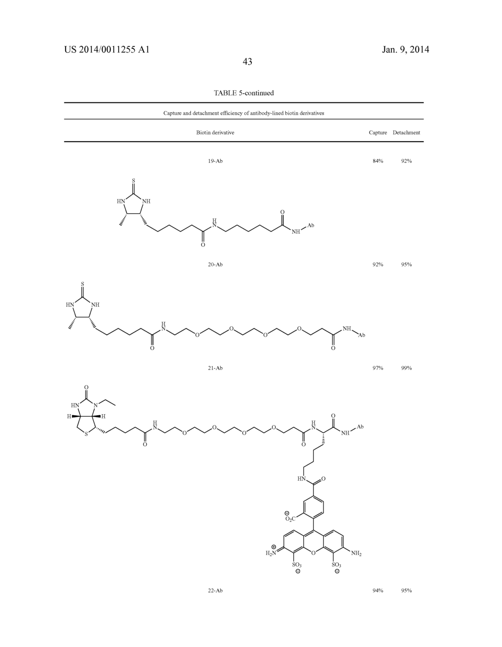 Biotin Derivatives - diagram, schematic, and image 52