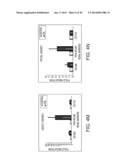 METHODS OF REPROGRAMMING RENAL CELLS diagram and image