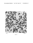 CHEMICAL MECHANICAL POLISHING (CMP) COMPOSITION COMPRISING A NON-IONIC     SURFACTANT AND A CARBONATE SALT diagram and image