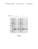 LONG-ACTING IL-1 RECEPTOR ANTAGONISTS diagram and image