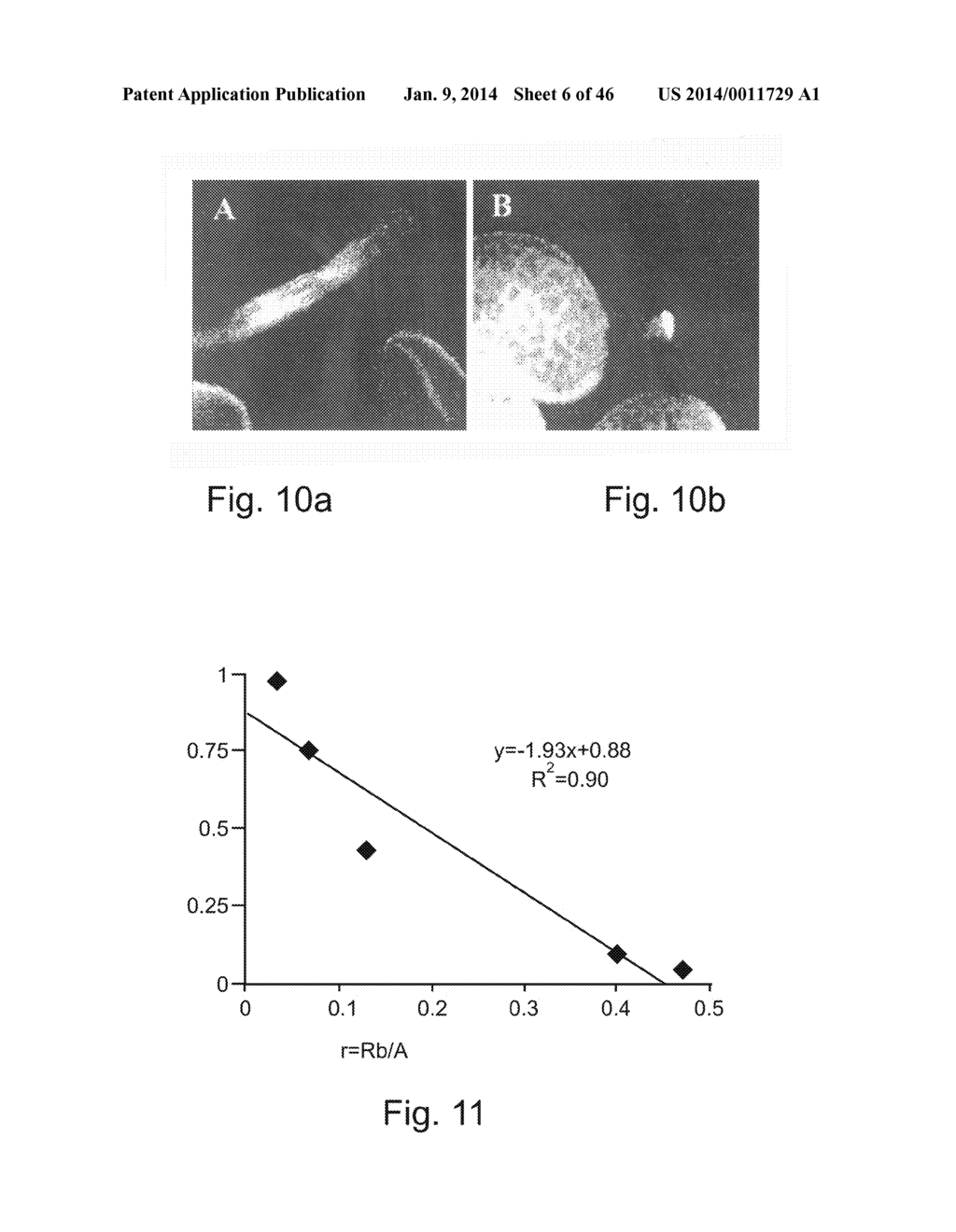 METHODS OF AND COMPOSITIONS FOR INHIBITING THE PROLIFERATION OF MAMMALIAN     CELLS - diagram, schematic, and image 07