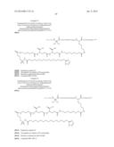 Peptides Derivatized with A-B-C-D- and their Therapeutical Use diagram and image