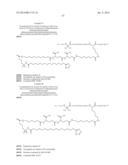 Peptides Derivatized with A-B-C-D- and their Therapeutical Use diagram and image