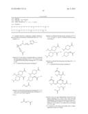 Peptides Derivatized with A-B-C-D- and their Therapeutical Use diagram and image