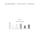 2-METHYLENE-19,23,24-TRINOR-1ALPHA-HYDROXYVITAMIN D3 diagram and image