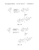 FITNESS ASSAY AND ASSOCIATED METHODS diagram and image