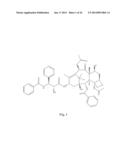 TRANSITION METAL COMPLEXES OF A BIS[THIOHYDRAZIDE AMIDE] COMPOUND diagram and image